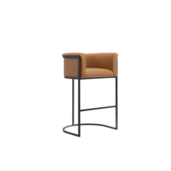 Cosmopolitan Metal Upholstered Barstool