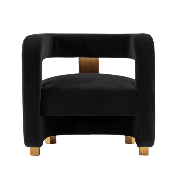 Amirah Velvet Accent Chair