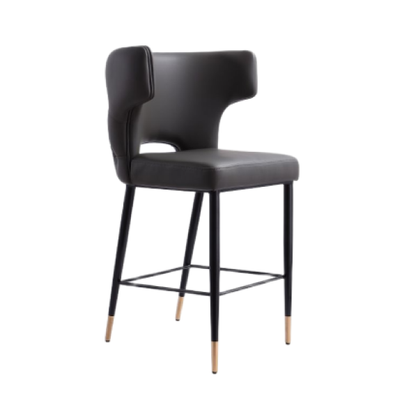 Holguin  Counter Stool in Graphite