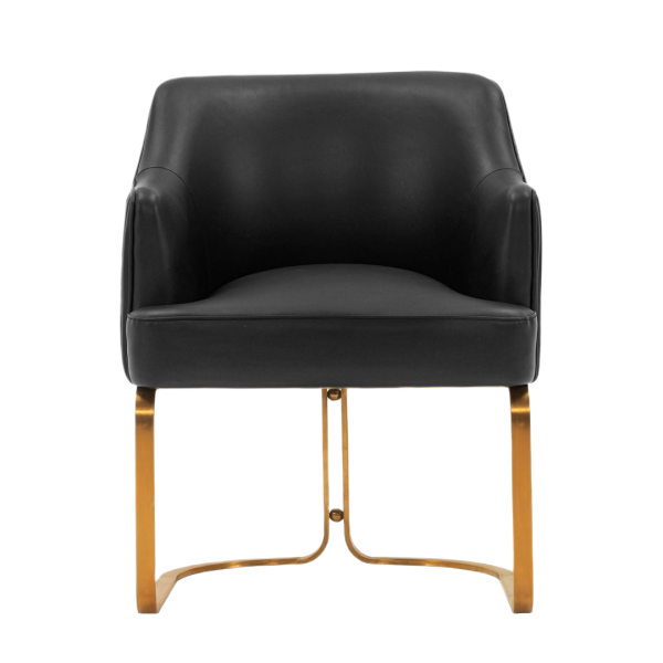Raya Wood Vegan Leather Accent Chair in Black